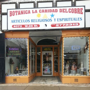 Botánica La Carida de Cobre – Imagen de Planta Medicinal de Cobre, Usos y Beneficios Naturales