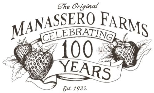 Manassero Farms Original – Viñedo Premium de California | Vinos y Cosecha