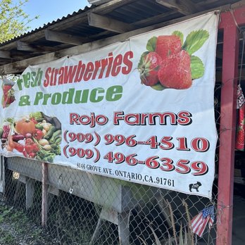Rojo Farms – Granja Orgánica de Verduras Frescas y Productos Naturales