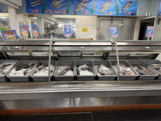 Mercado de Mariscos en Los Altos – Frescura, Variedad y Sabor Local