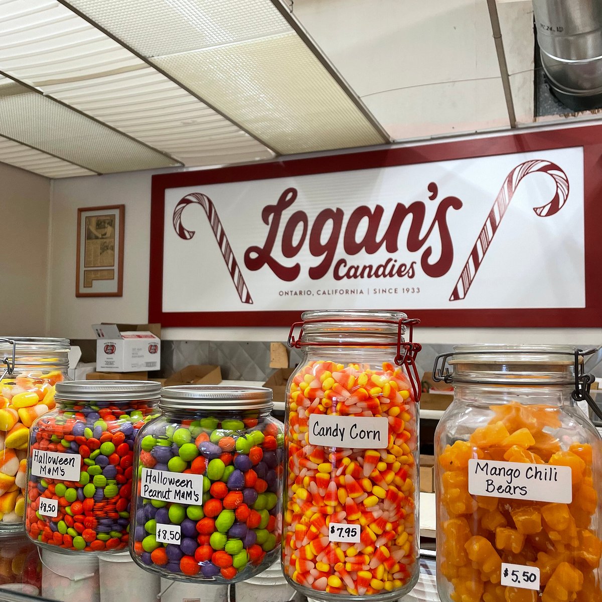 Logan’s Candies: Dulces artesanales y coloridos – Ideas de postres y regalos festivos