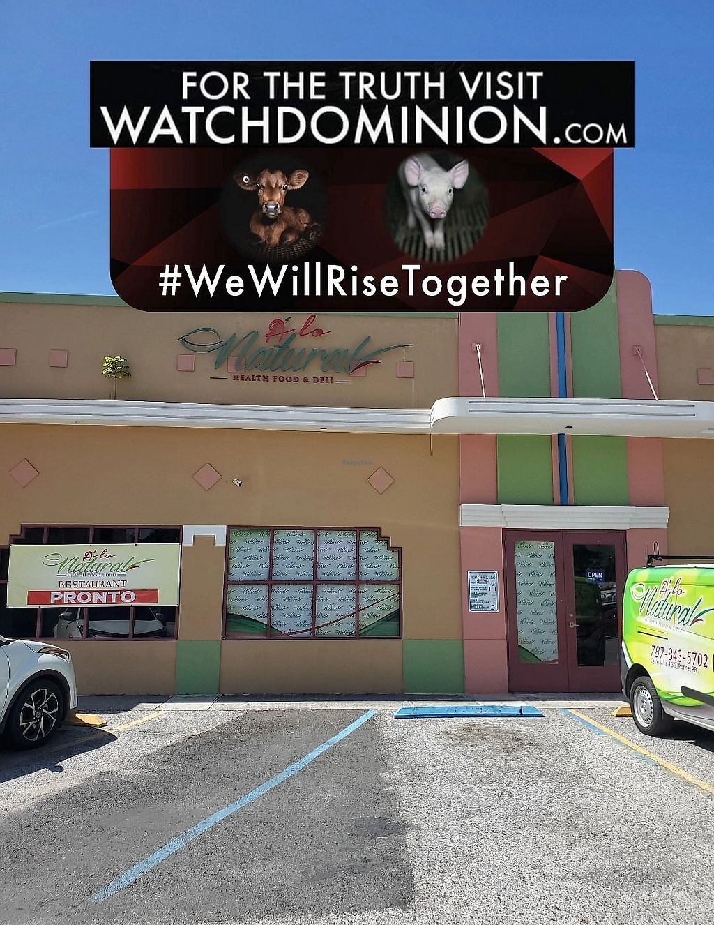 A Lo Natural: Belleza Orgánica y Estilo Eco‑Friendly para tu Hogar y Jardín