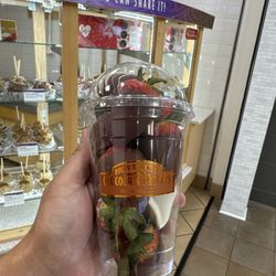 Syriana House de Nueces: Diseño Interior y Decoración con Estilo Moderno