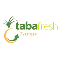 Tabafresh Farms – Agricultura Sostenible y Productos Frescos de Calidad