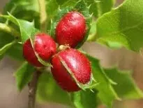 La Grana: impresionante paisaje urbano de la ciudad de La Grana, España – foto de arquitectura y cultura local